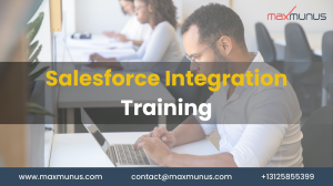 How do I master integration in Salesforce?