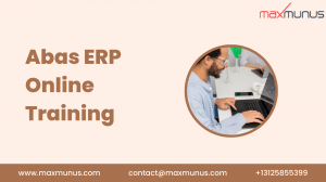 What is the importance of Abas ERP Training?